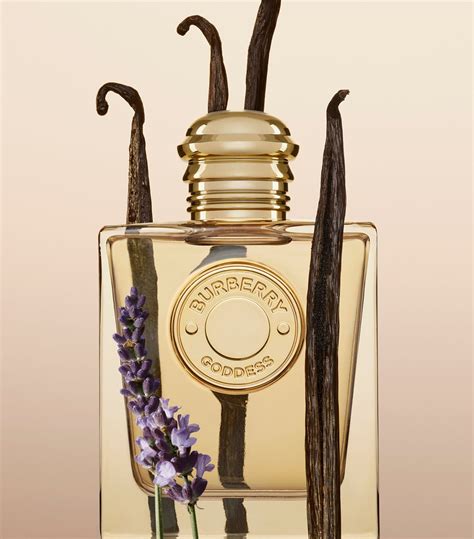 burberry goddess ingredients|burberry goddess vanilla.